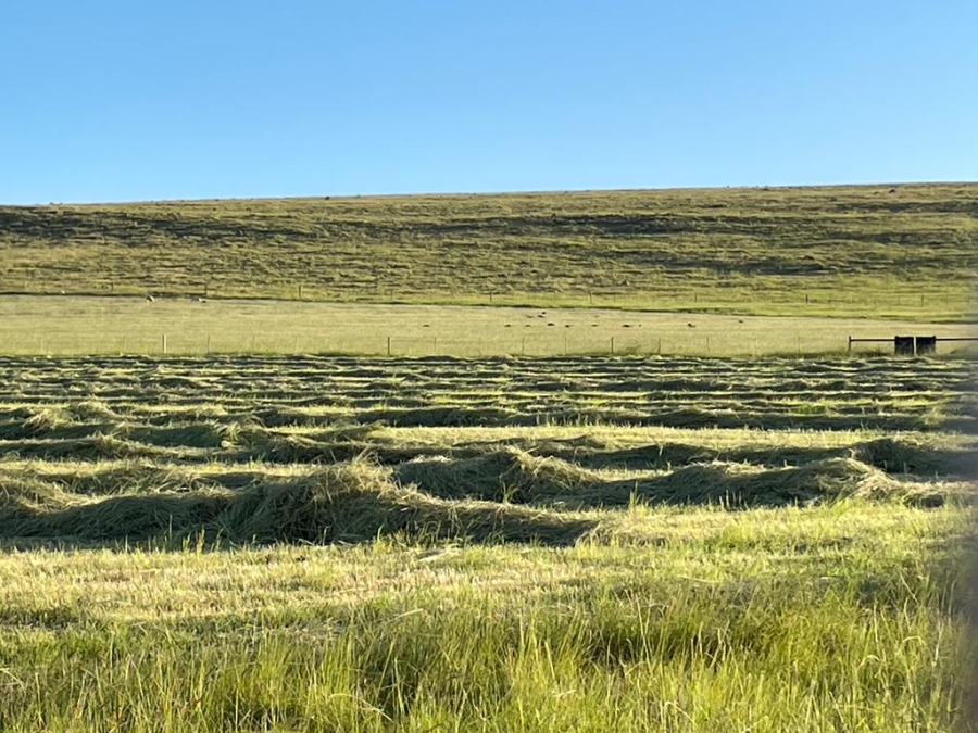 Commercial Property for Sale in Adelaide Eastern Cape